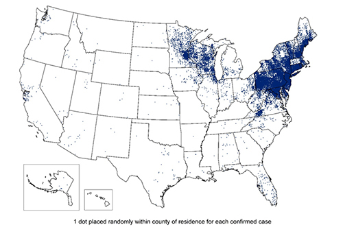Reported cases of Lyme disease- United States 2017. Although Lyme disease has been reported in every part of the US, the vast number of cases occur in the northeast.
