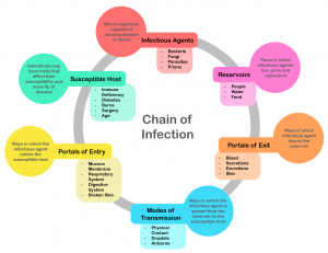 Chapter 4: Infection – Pathophysiology for Physical Therapist Assistants