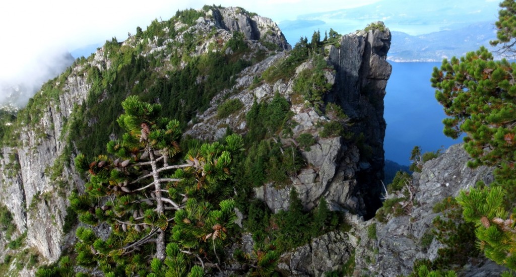 Figure 21.21 Cretaceous granite at The Lions, north of Vancouver, with Howe Sound in the background [Isaac Earle, used with permission]