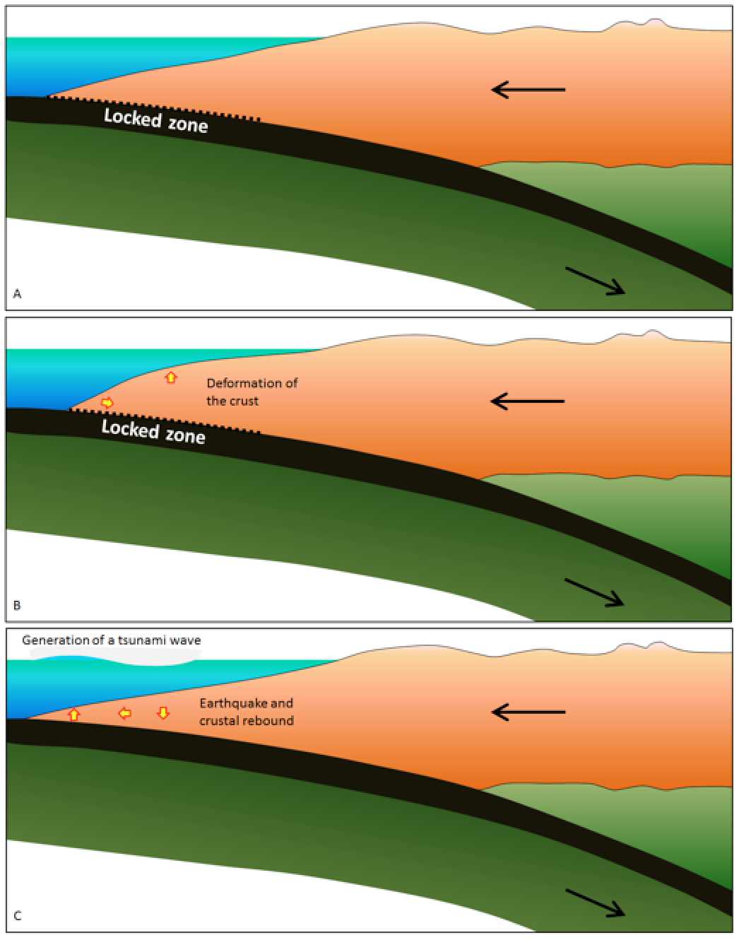 Elastic deformation