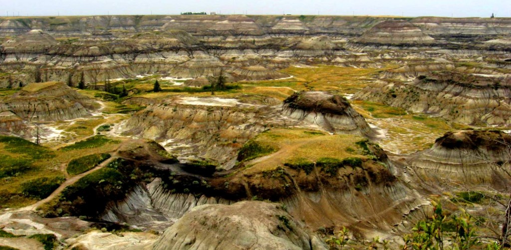 Figure 21.24 The Horseshoe Canyon Formation near Drumheller, Alberta [SE]