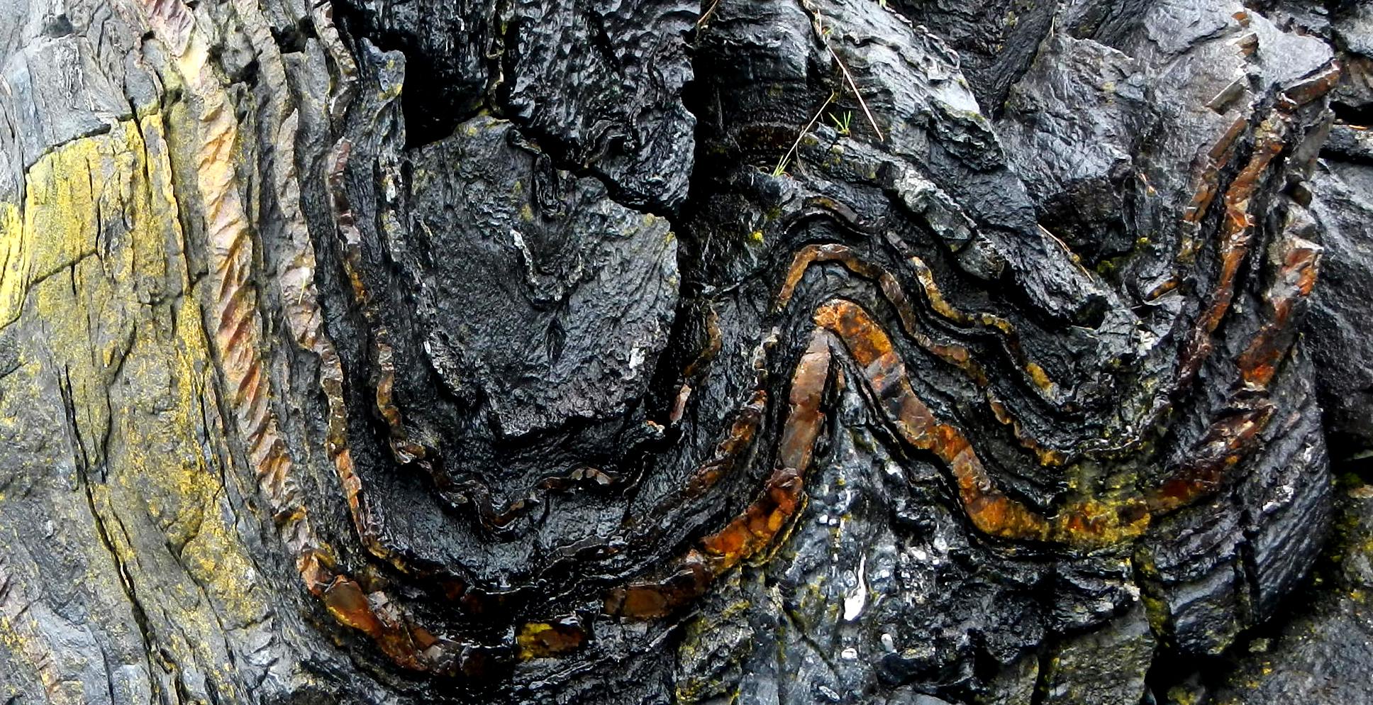 Figure 12.7 Folded limestone (grey) and chert (rust-coloured) in Triassic Quatsino Fm. rocks on Quadra Island, BC.  The image is about 1 m across. [SE]