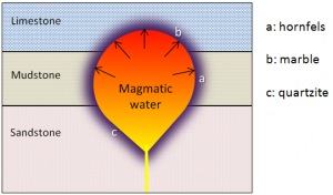 Contact metamorphic rocks: a: hornfels, b: marble, c: quartzite