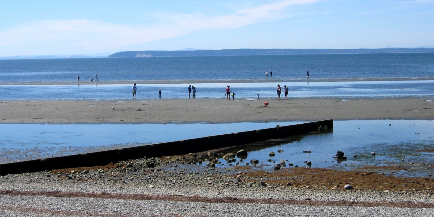 Figure 17.31 A groyne at Crescent Beach, Surrey, B.C. [https://commons.wikimedia.org/wiki/File:Cresbeach-groyne.jpg]