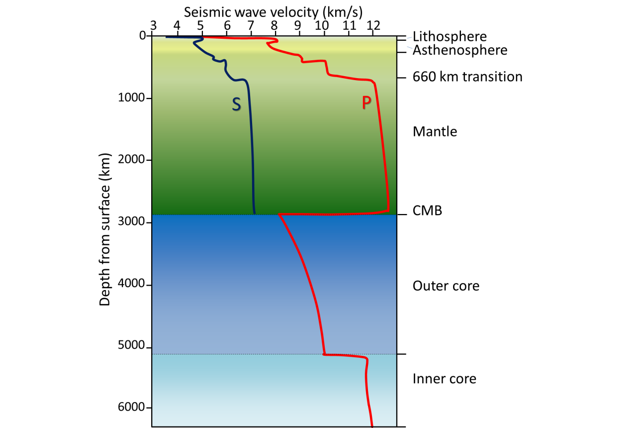 P-wave and S-wave velocity variations with depth in Earth