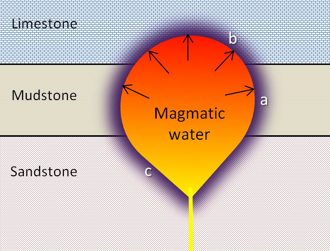 This diagram shows a pluton that has intruded into a series of sedimentary rocks.