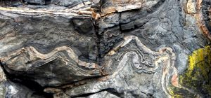 Figure 3.5 Metamorphosed and folded Triassic-aged limestone, Quadra Island, B.C. [SE]