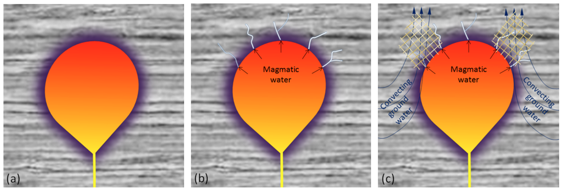 Figure 7.25 Depiction of metamorphism and alteration around a pluton in the upper crust. (a) Thermal metamorphism only (within the purple zone) (b) Thermal metamorphism plus veining (white) related to dispersal of magmatic fluids into the overlying rock (c) Thermal metamorphism plus veining from magmatic fluids plus alteration and possible formation of metallic minerals (hatched yellow areas) from convection of groundwater