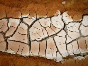 Figure 6.24 Mudcracks in volcanic mud at a hot-spring area near Myvatn, Iceland [SE]