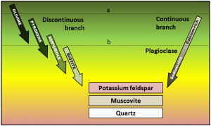 porphyritic-minerals2