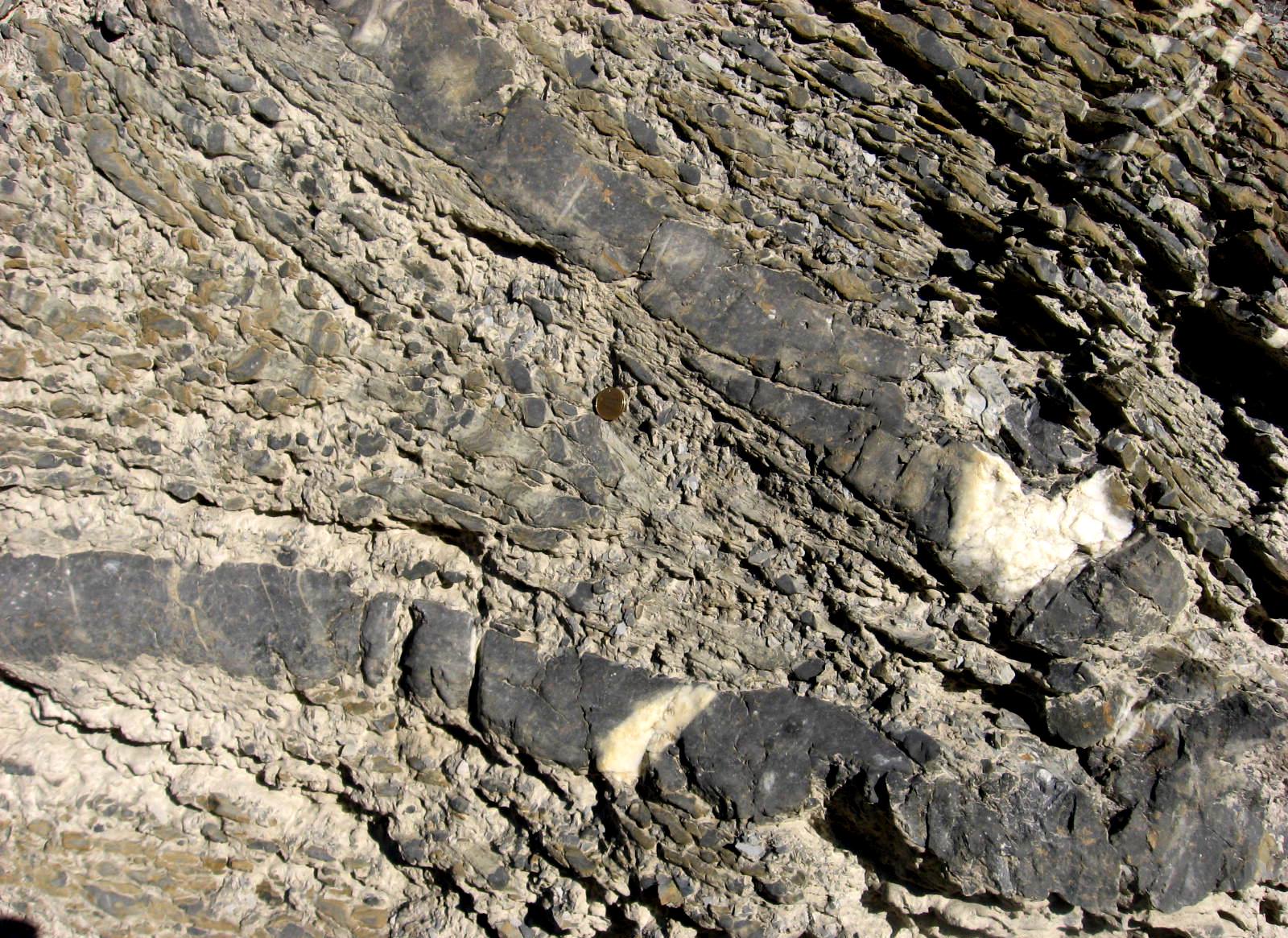 Figure 12.1  Folds in sedimentary rocks near to Golden and the Kickinghorse River, BC. [SE]