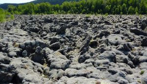 Figure 4.6 Volcanic rock at the Tseax River area, northwestern B.C. [SE]