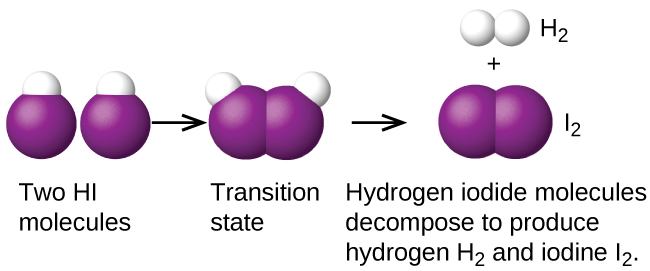 This figure provides an illustration of a reaction between two H I molecules using space filling models. H atoms are shown as white spheres, and I atoms are shown as purple spheres. On the left, two H I molecules are shownwith a small white sphere bonded to a much larger purple sphere. The label, “Two H I molecules,” appears below. An arrow points right to a similar structure in which the two molecules appear pushed together, so that the purple spheres of the two molecules are touching. Below appears the label, “Transition state.” Following another arrow, two white spheres are shown vertically oriented and bonded together with the label, “H subscript 2” above. The H subscript 2 molecule is followed by a plus sign and two purple spheres bonded together with the label, “I subscript 2” above. Below these structures is the label, “Hydrogen iodide molecules decompose to produce hydrogen H subscript 2 and iodine I subscript 2.”