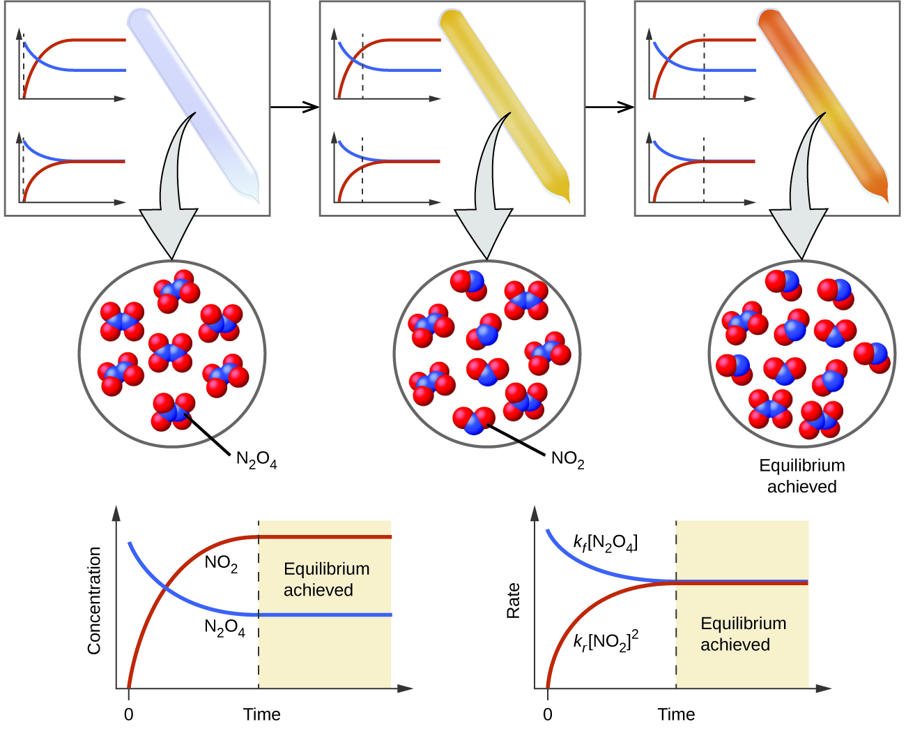 13.1 Chemical Equilibria Chemistry 112 Chapters 1217 of OpenStax