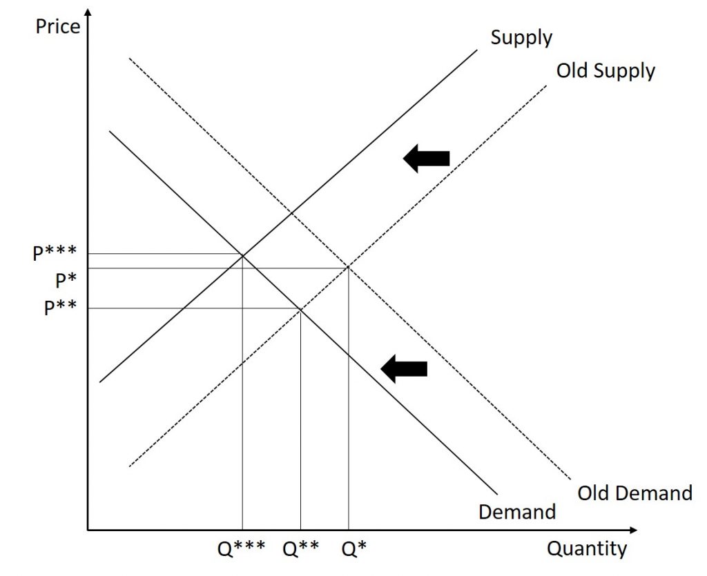 microeconomics demand and supply assignment