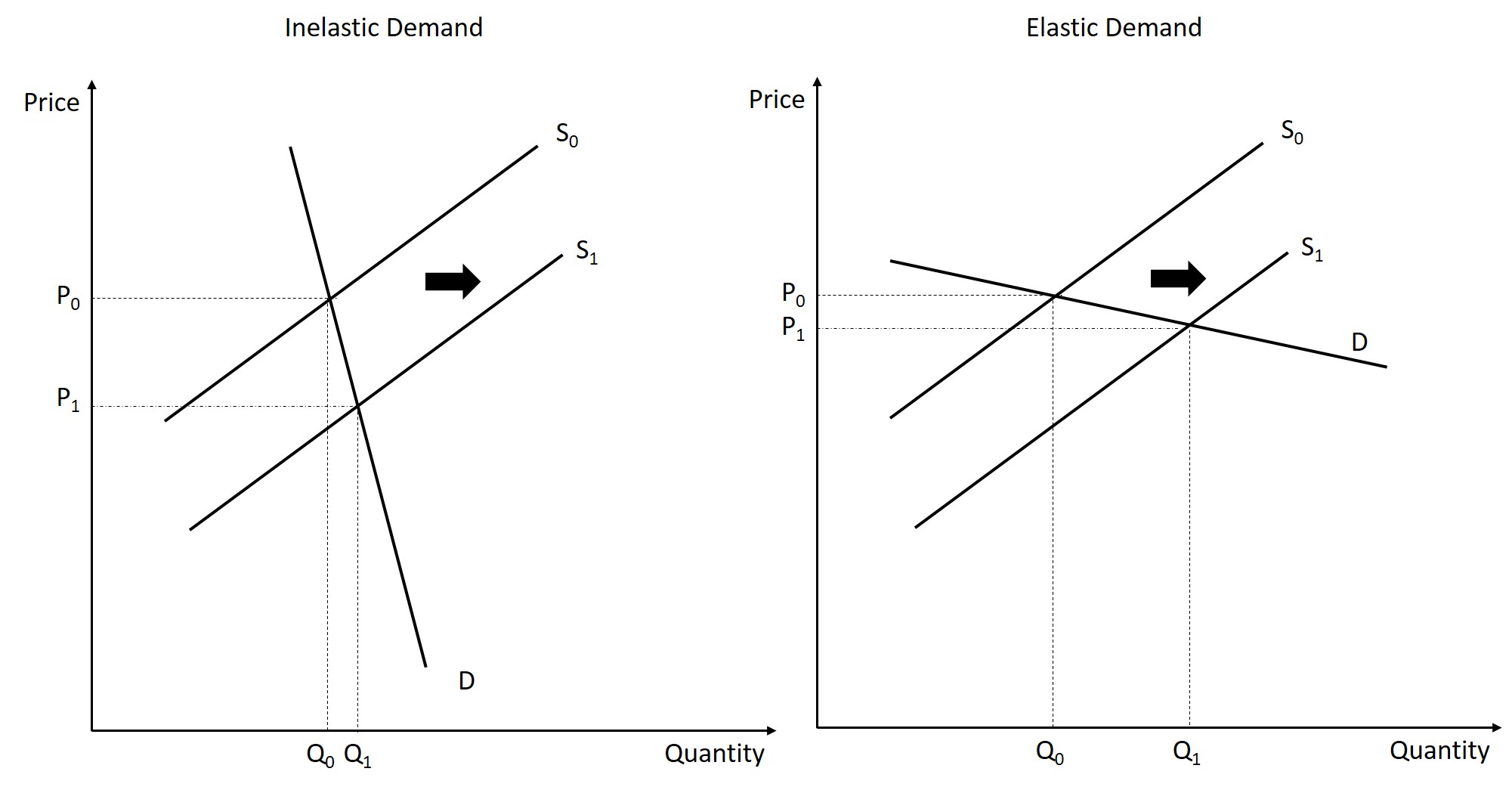 Elasticity – Introduction To Microeconomics