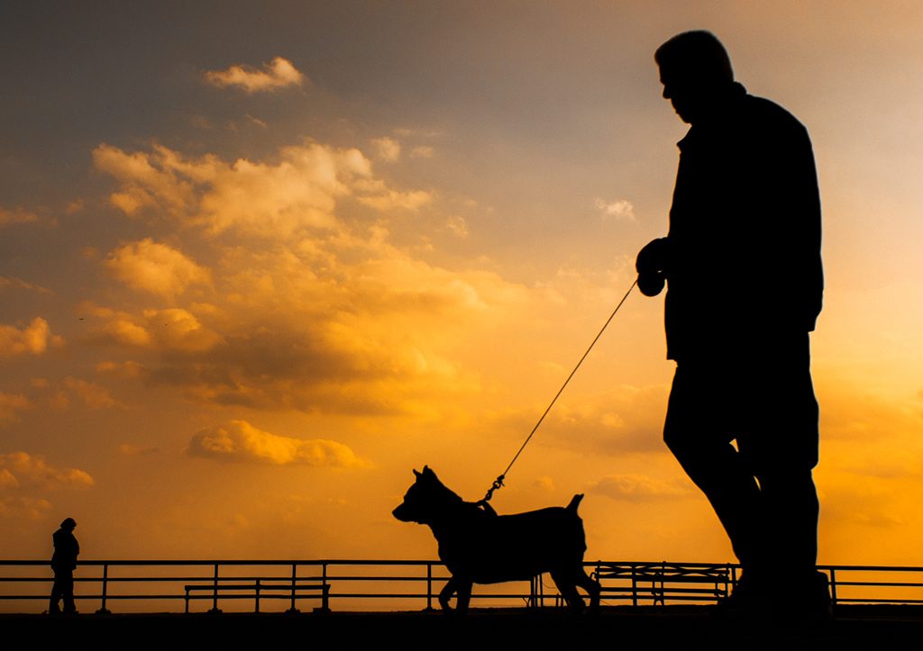 photo of a man walking a dog.