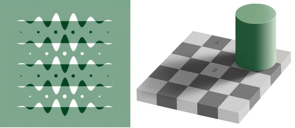 Optical Illusions as a Result of Brightness Constancy (Left) and Color Constancy (Right)
