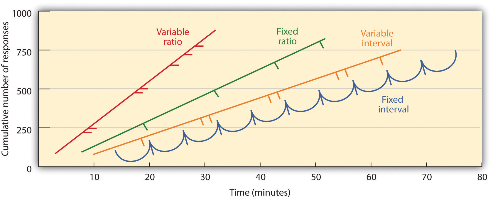 Interval variable. Dwell time интервал наблюдения. Интервальная переменная. Тип Interval.