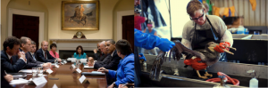 President Barack Obama and Vice President Joe Biden (left photo) meet with executives. A man cleaning a bird from an oil spill in the Gulf of Mexico (right photo).