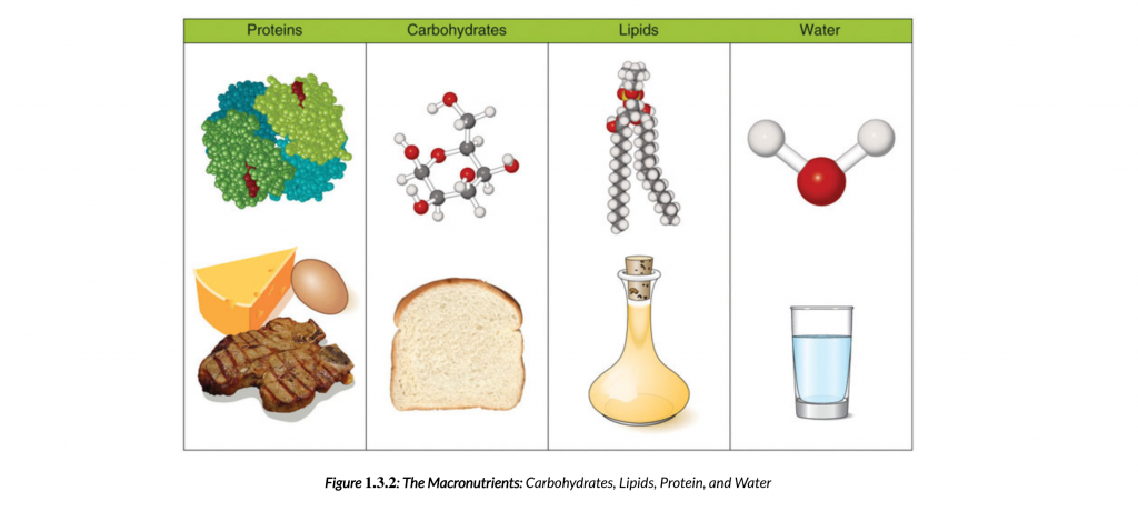 1.3 – What Are Nutrients? – Nutrition 100 Nutritional Applications for