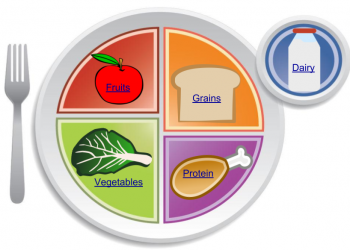 3.4 – Using the MyPlate Planner – Nutrition 100 Nutritional ...