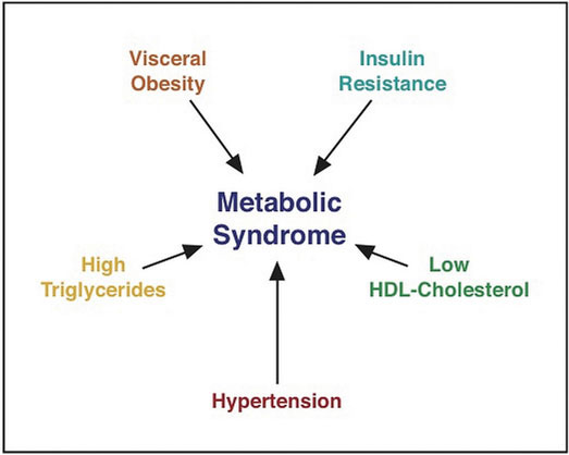A picture showing 5 different causes of metabolic syndrome