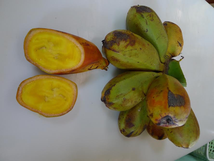 An image of a fruit, the plantains.