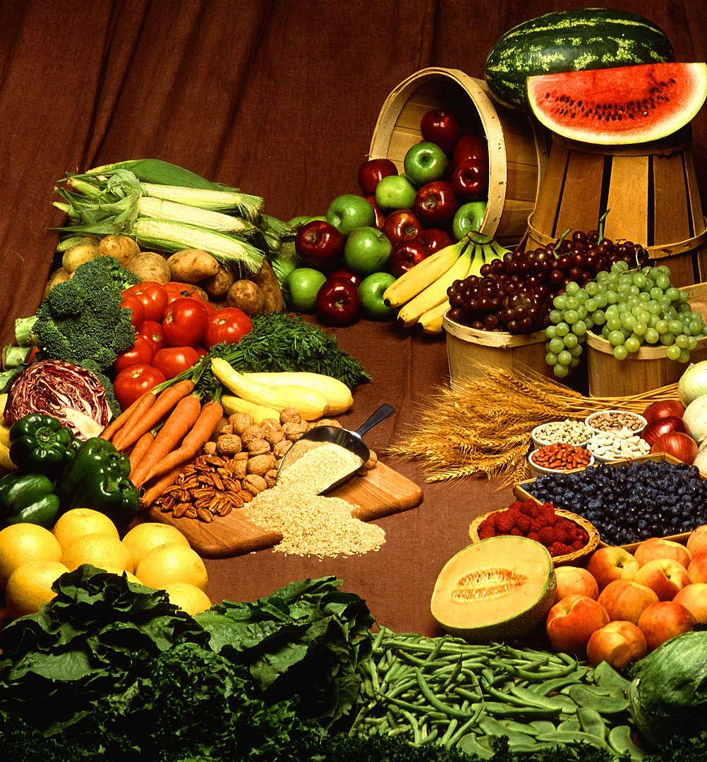 14-1-introduction-to-food-safety-nutrition-100-nutritional