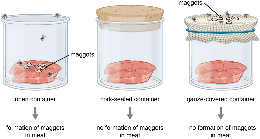 An illustration of Three jars with different lids