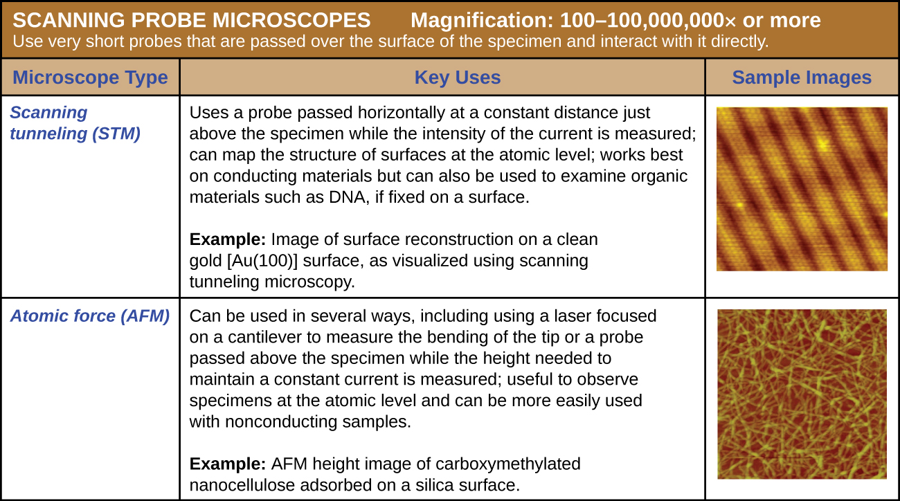 A table of scanning probe microscopes which use short probes that are passed over the surfaces of the specimen and interact with it directly. Magnification: 100-100,000,000x or more.