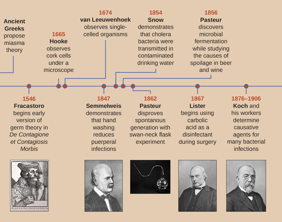 A timeline showing discoveries in microbiology over the span of four centuries.
