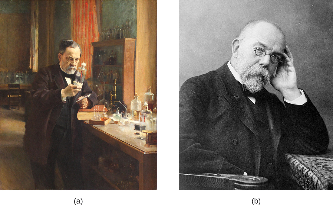 A picture of Louis Pasteur, and a picture of Robert Koch