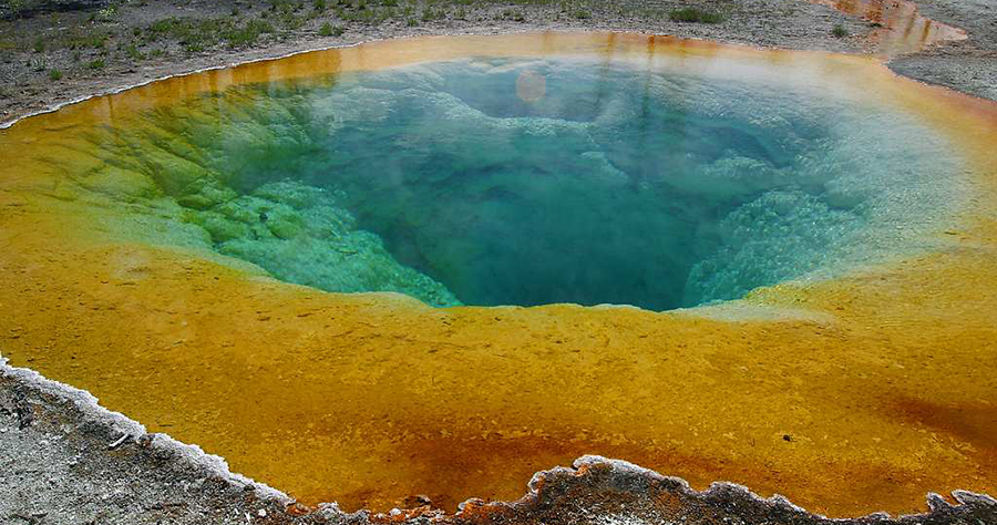 an image of the Morning Glory pool hot spring in Yellowstone National Park