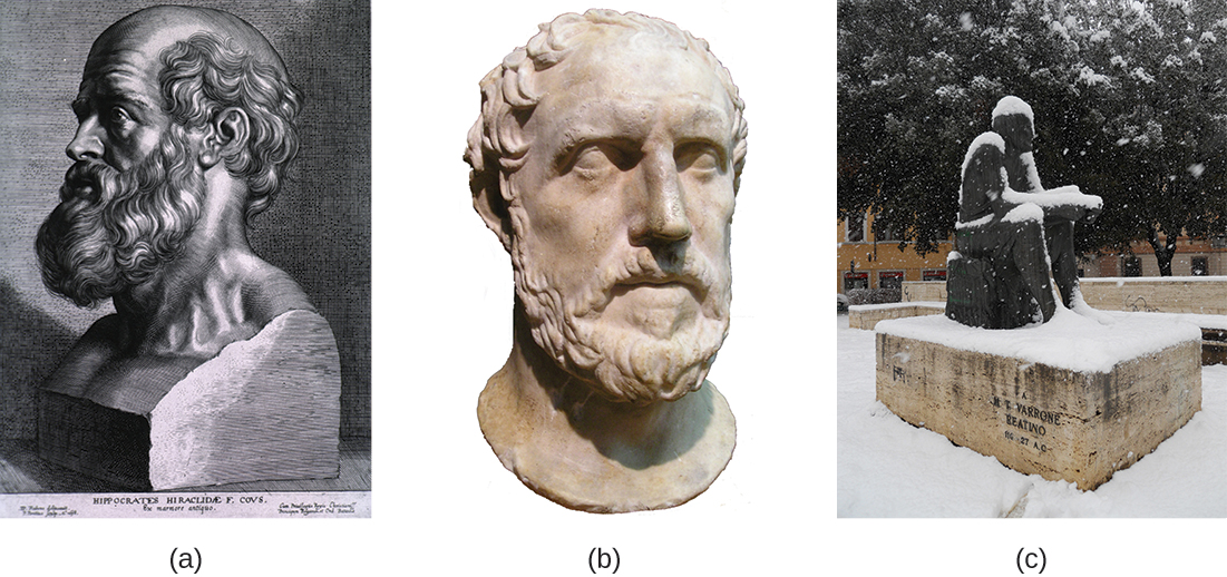 A picture of three different statues sculpted after 3 different disease philosophers