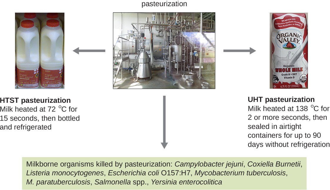 Two different methods of pasteurization, HTST and UHT,
