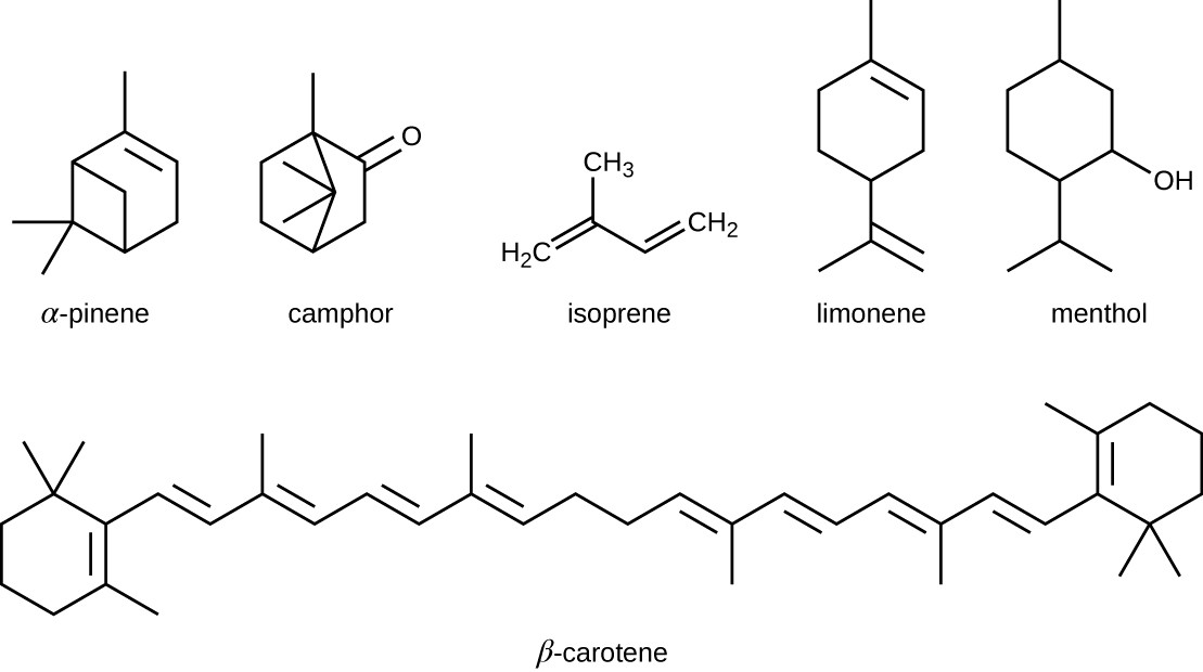 alpha-pinene, champhor, isoprene, limonene, menthol and beta-carotene