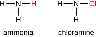 Ammonia has an N and 3 Hs. Chloramine has an N, 2 Hs and 1 Cl.