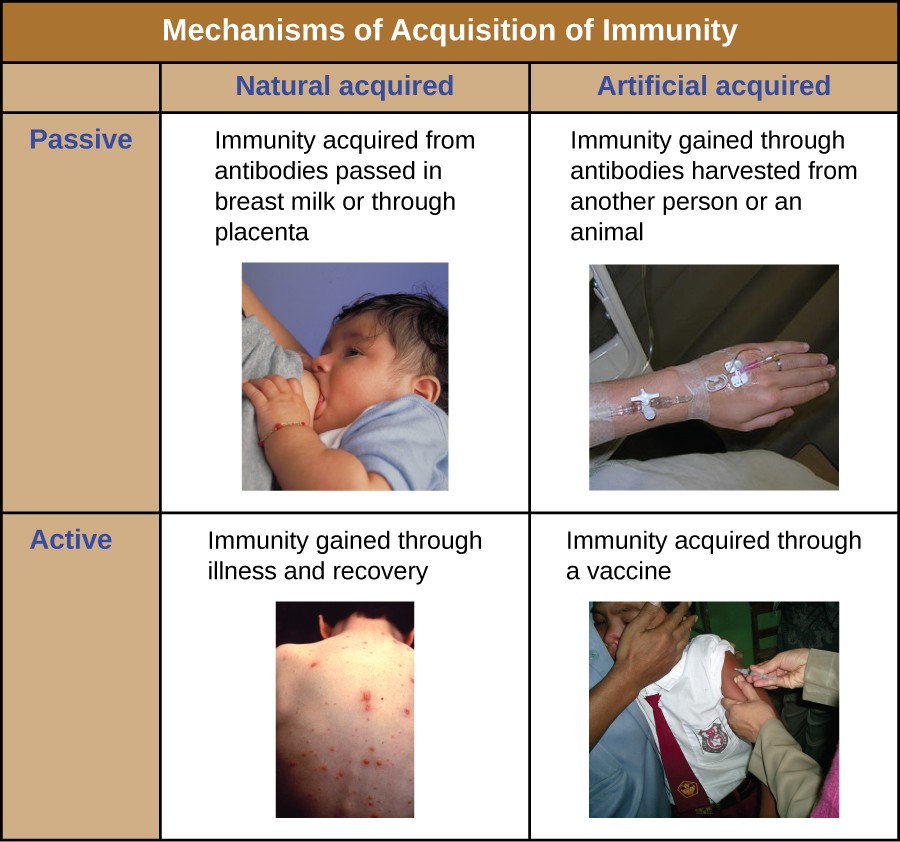 18 5 Vaccines Microbiology 201