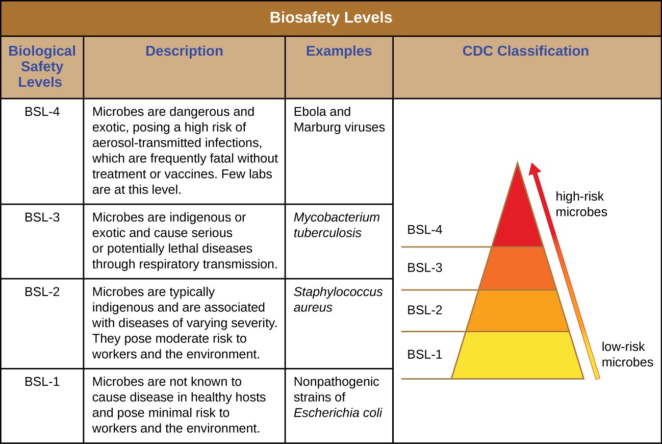 Table labeled biosafety levels