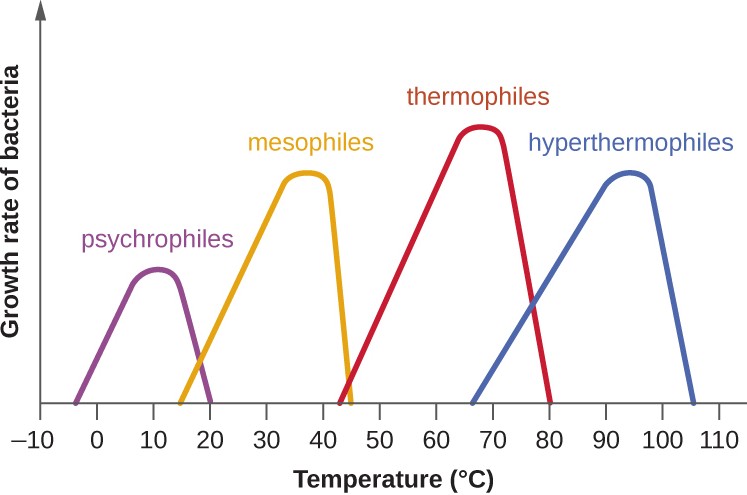 graph of temperature versus Growth of Bacteria with 4 curves: 1. psychrophiles. 2. mesophiles. 3. thermophiles. 4. hyperthermophiles.