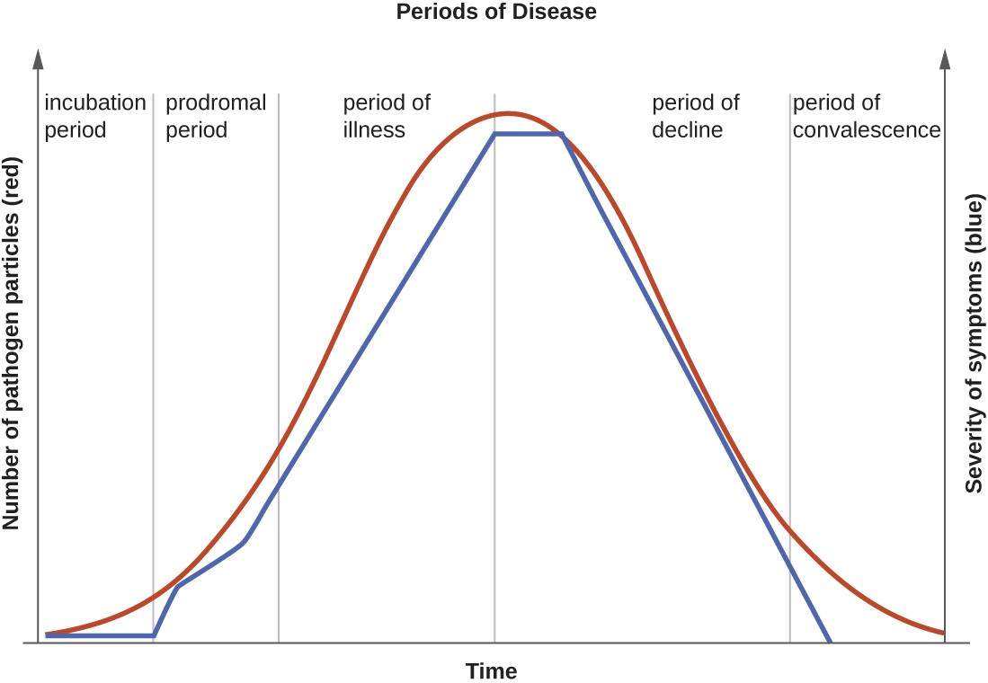 A graph titled “Periods of Disease”