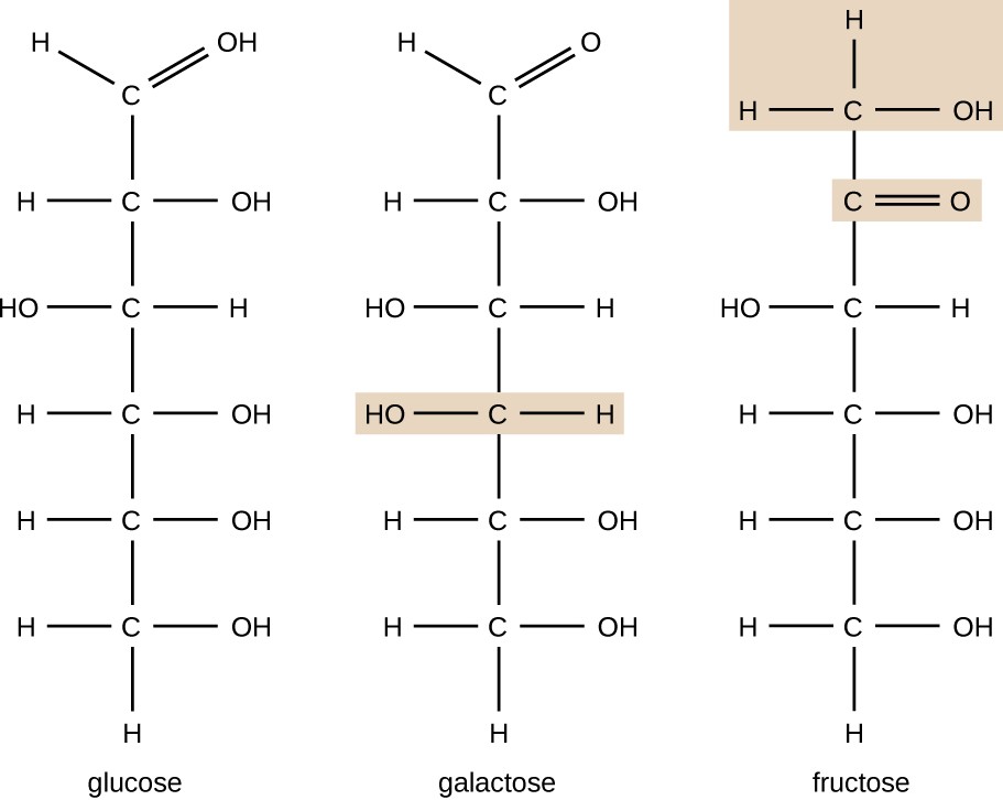 structural formulae of glucose, galactose and fructose