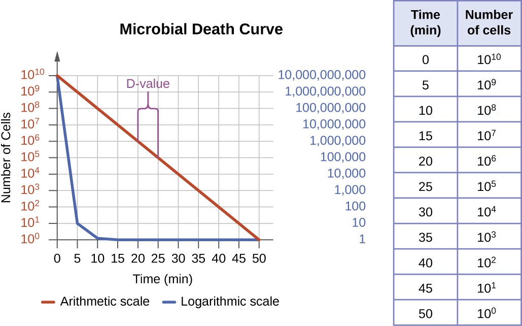 A table showing a decrease in number as microbial cells die