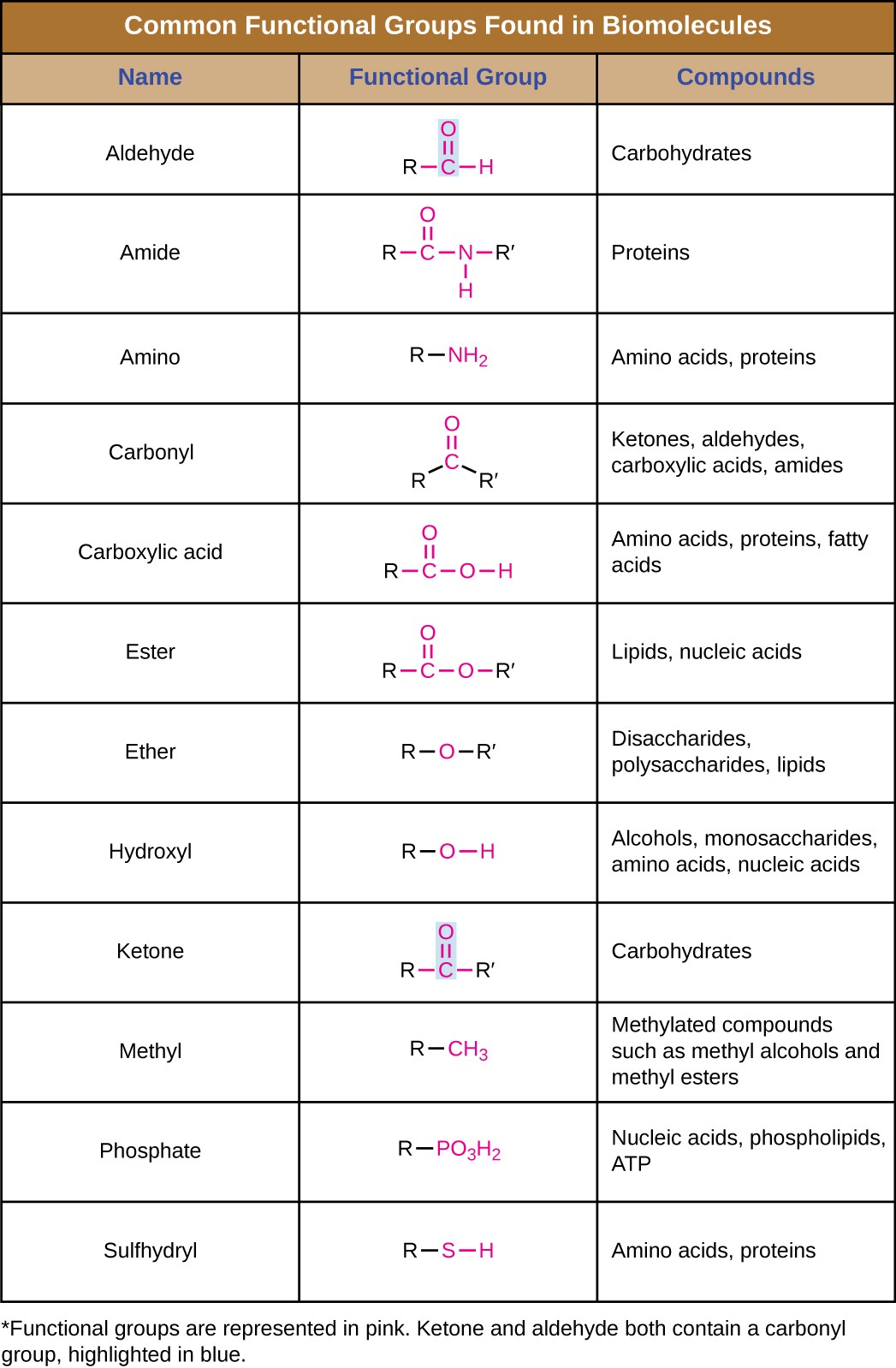table showing common functional groups found in biomolecules