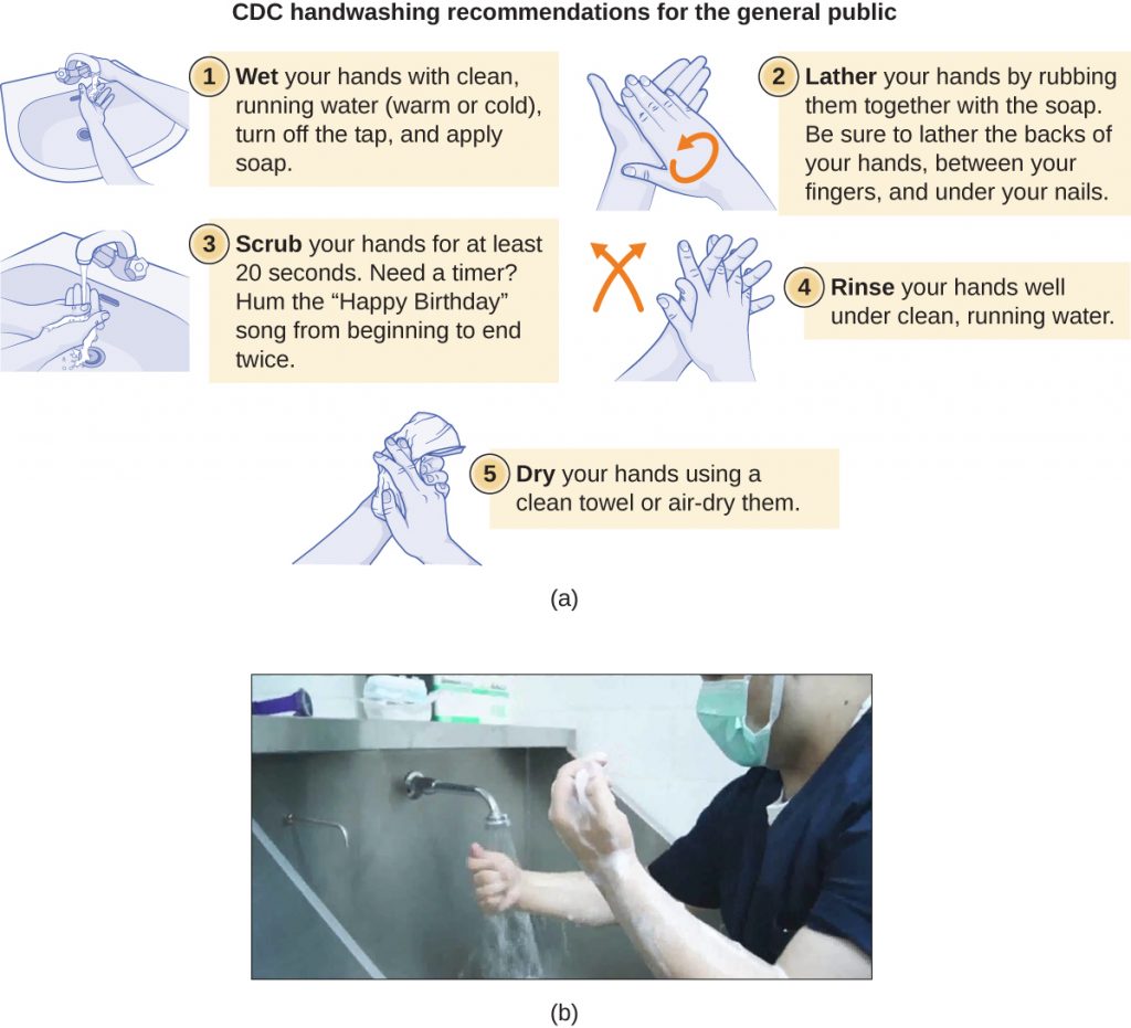 5 steps for washing hands from the CDC