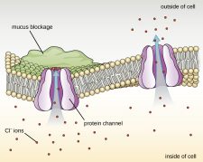 7.4 – Proteins – Microbiology 201