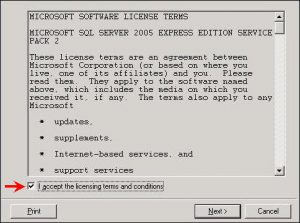 An accept terms and agreement button in an old software installation window