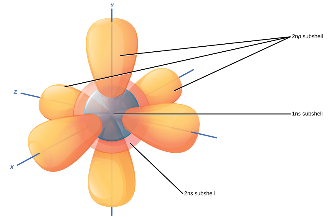 Illustration shows 1 n s, 2 n s and 2 n p subshells. The 1 n s subshell and 2 n s subshells are both spheres, but the 2 n s sphere is larger than the 1 n s sphere. The 2 n p subshell is made up of three dumbbells that radiate out from the center of the atom.