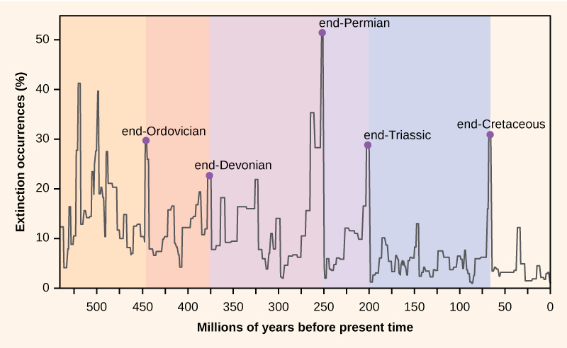 The chart shows percent extinction intensity versus time in millions of years before present. Extinction intensity spikes at boundaries between periods, including the end of the Ordovician which had 30 percent extinction occurances approximately 450 million years ago. The late Devonian had approximately 25 percent extinction occurances at roughly 375 million years ago. The end of the Permian had 50 percent extinction occurances approximately 250 million years ago. The end of the Triassic had roughly 30 percent extinction occurances 200 million years ago. And the end of the Cretaceous periods had over 30 percent extinction occurances roughly 70 million years ago.